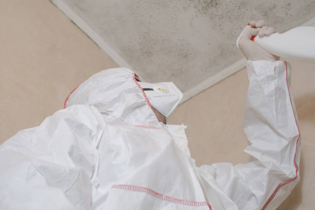 Best Certified Mold Removal  in Prescott Valley, AZ